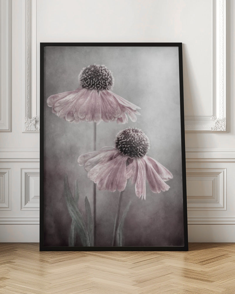 Wall Art Duet