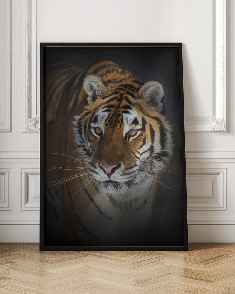 Wandbild Portrait eines Sibirischen Tigers