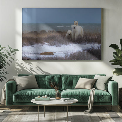 Wandbild Mutterbär mit Jungen, Hudson Bay im Hintergrund