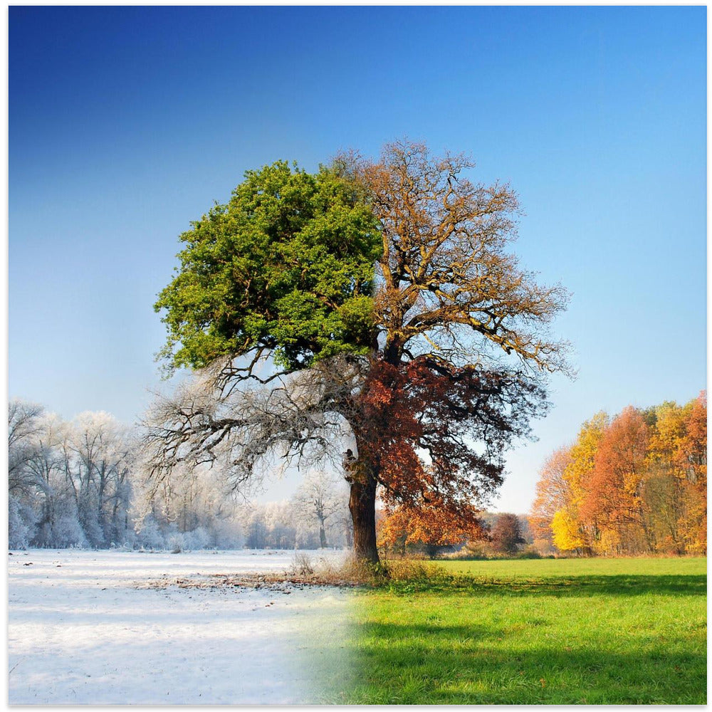 wall Art 4 seasons