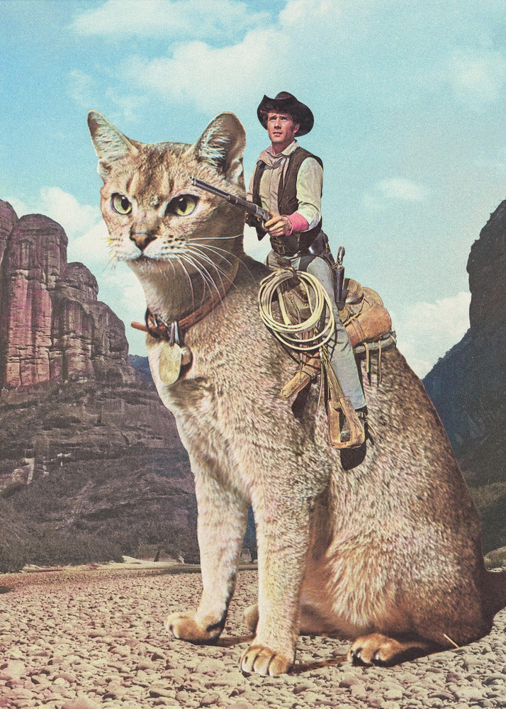 wall art Cat Lone Ranger