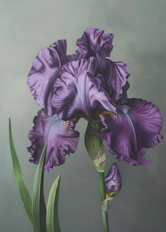 Wandbild Iris Fl 18