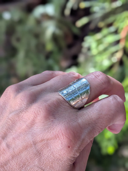 Beech Ring – Sterling Silver Botanical Statement Ring