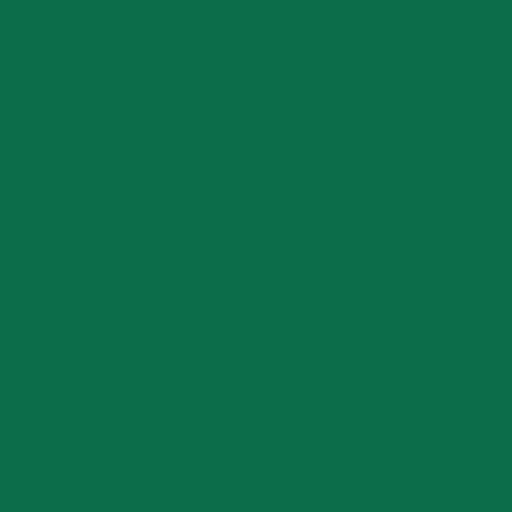 Siser Matte Green Easyweed 12" x 15 Foot Roll