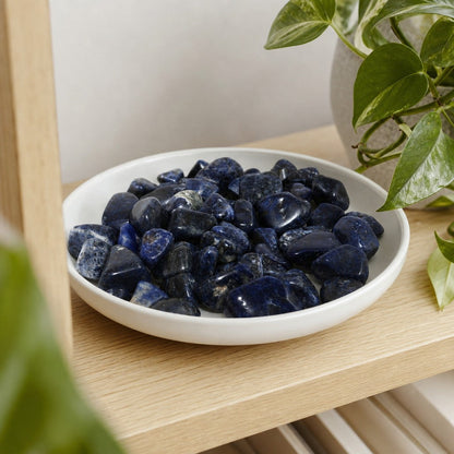 Sodalite A Tumbled Stones - Brazil