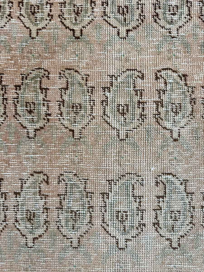 Tabriz Paisley Rug | 4' 9" x 11' 2"