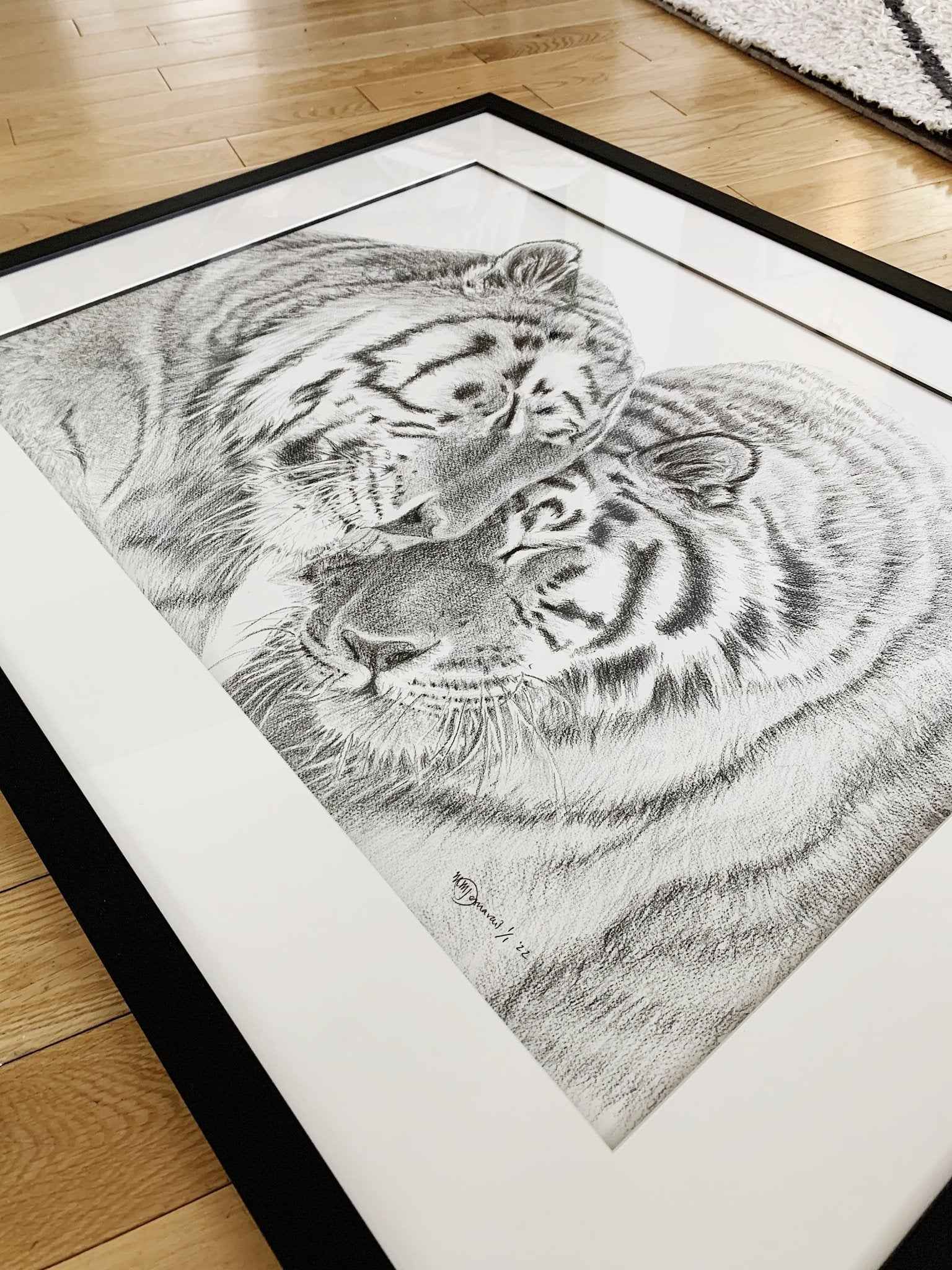 Amur Tigers - wildlife art print - collaboration with  La Fondation du Zoo de Granby