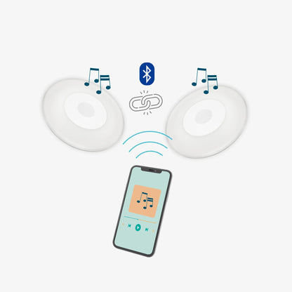 Wally Play Disk<br> Bluetooth-Sender für Pool