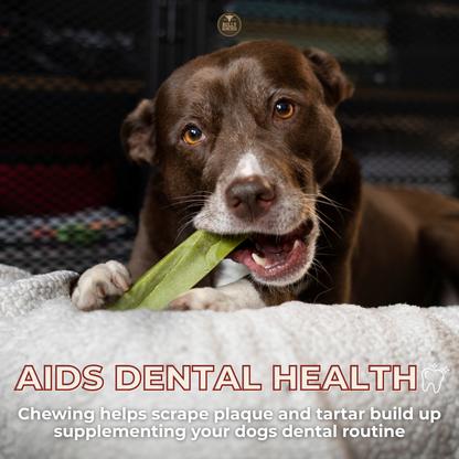 Mint Himalayan Yak Chew (MEDIUM)